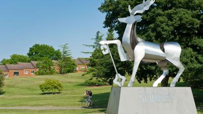 Stag statue on the Stag Hill campus
